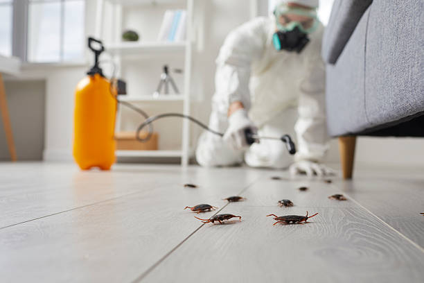 Post-Treatment Bed Bug Interceptor Monitoring in Westhaven-Moonstone